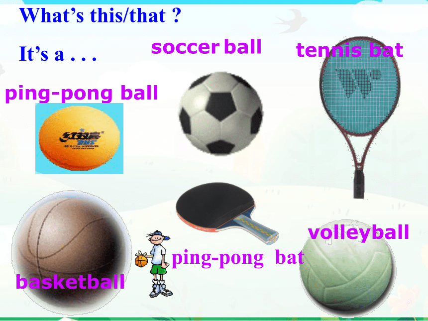 Unit 5 Do You Have A Soccer Ball Section A 1a-1c 课件(共22张PPT)-21世纪教育网