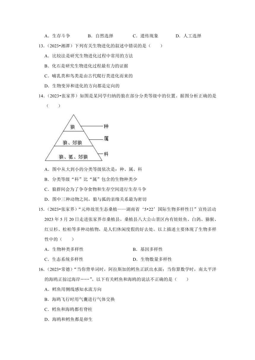 专题6生物多样性——2022-2023年湖南省中考生物试题分类（含解析）