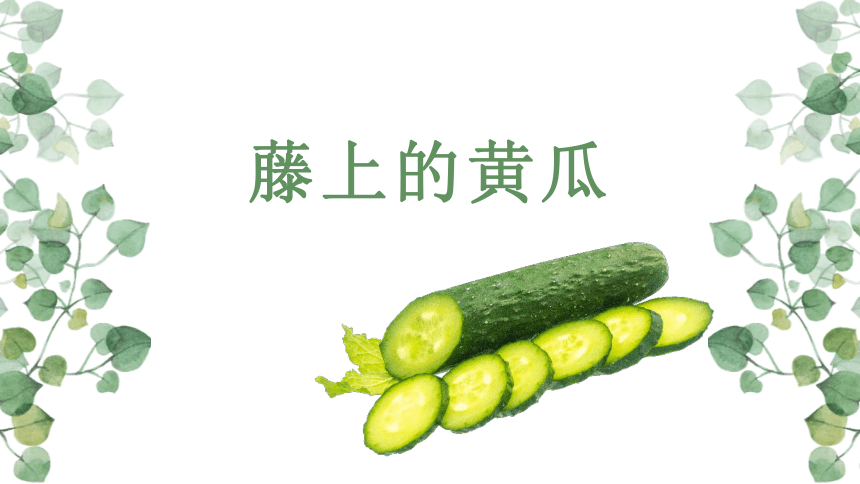 课件预览