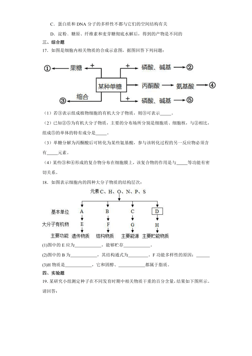 2.5核酸是遗传信息的携带者 测试题-2023-2024学年高中生物学人教版（2019））必修1（含解析）