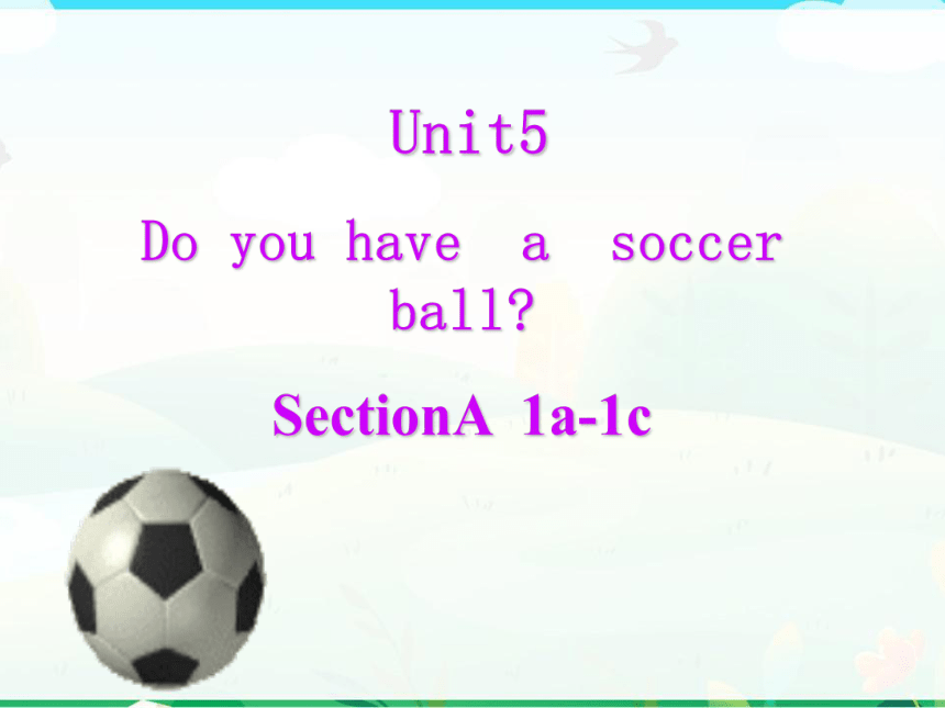 Unit 5 Do You Have A Soccer Ball Section A 1a-1c 课件(共22张PPT)-21世纪教育网