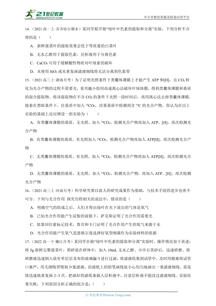 2023-2024学年高一上学期苏教版（2019）高中生物必修1第三章第二节光合作用——光能的捕获和转换综合练习题（含解析）