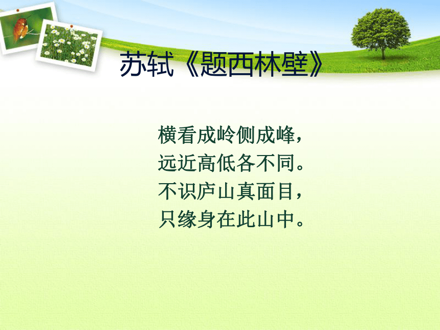 课件预览