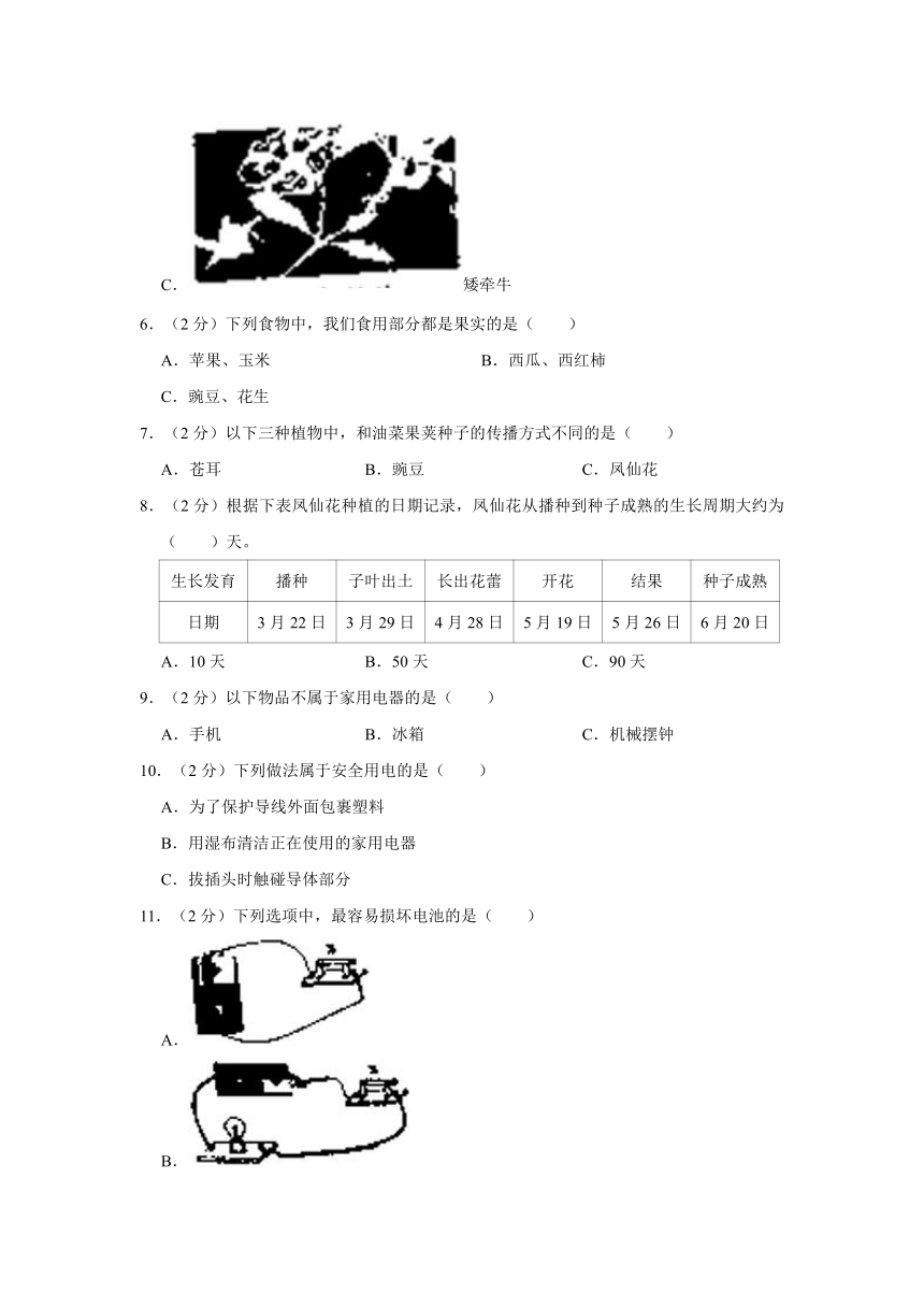 2022 2023学年湖南省怀化市芷江县四年级下学期期末科学试卷（含解析） 21世纪教育网