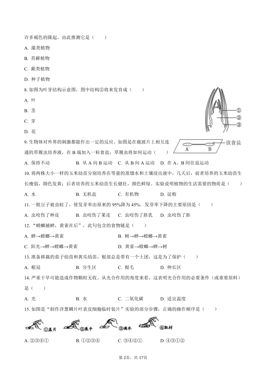 课件预览