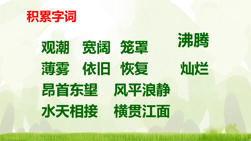 1《观潮》课件(共31张PPT)