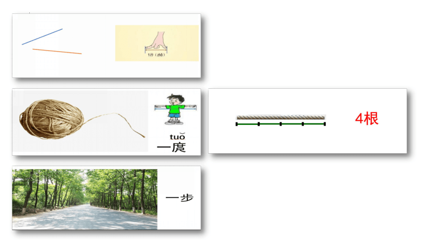 青岛版一年级下册数学认识厘米（课件）(共17张PPT)