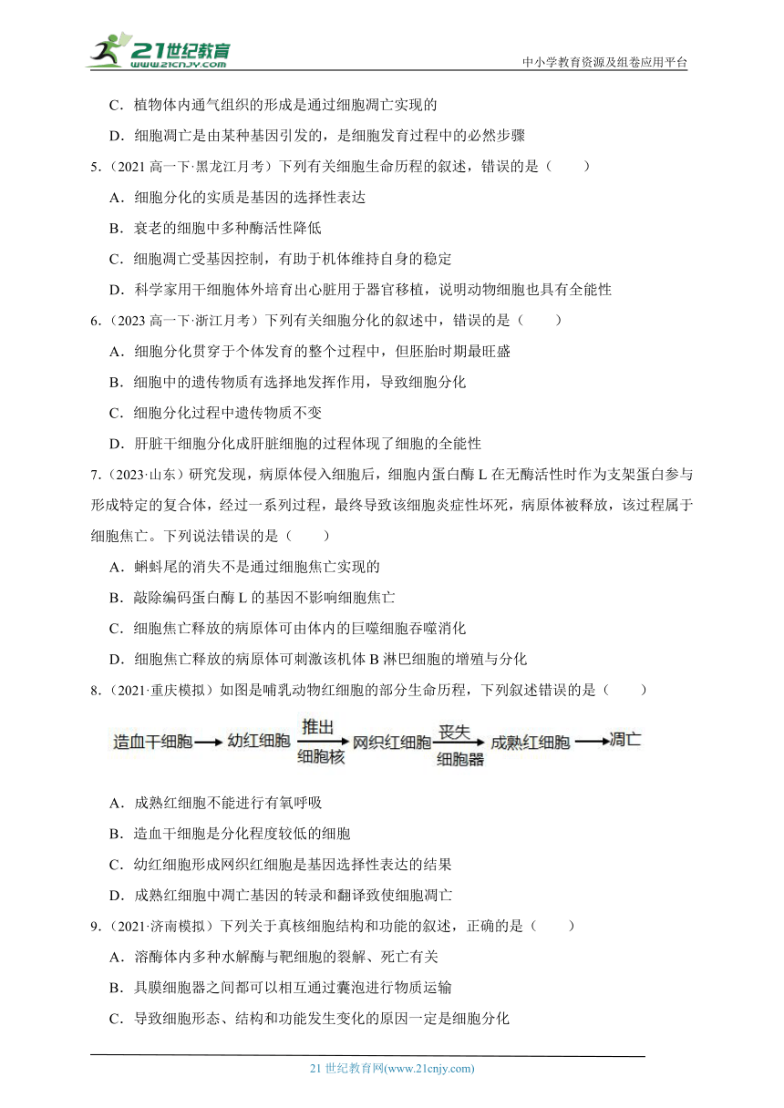 2023-2024学年高一上学期苏教版（2019）高中生物必修1第四章第二节细胞分化、衰老和死亡综合练习题（含解析）