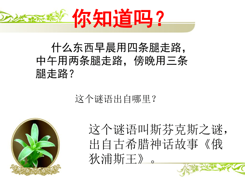 课件预览