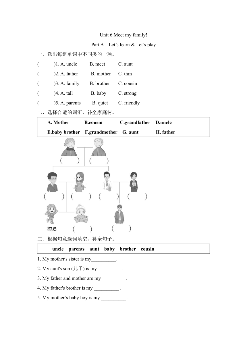 Unit 6 Meet My Family Part A Let’s Learn & Let’s Play 同步练习（含答案）-21世纪教育网