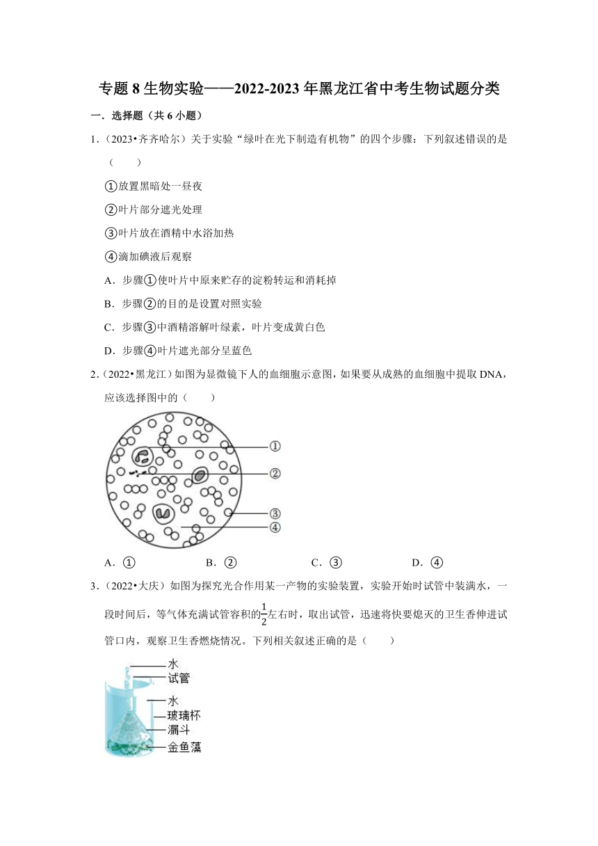 专题8生物实验——2022-2023年黑龙江省中考生物试题分类（含解析）