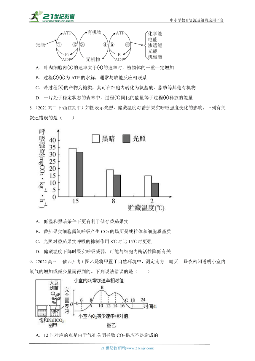 2023-2024学年高一上学期苏教版（2019）高中生物必修1第三章第四节影响光合作用和细胞呼吸的环境因素综合练习题（含解析）