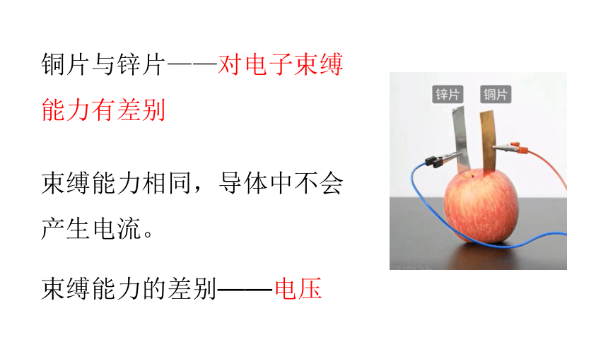 13.5 怎样认识和测量电压(共51张PPT)（2024）沪粤版九年级上册