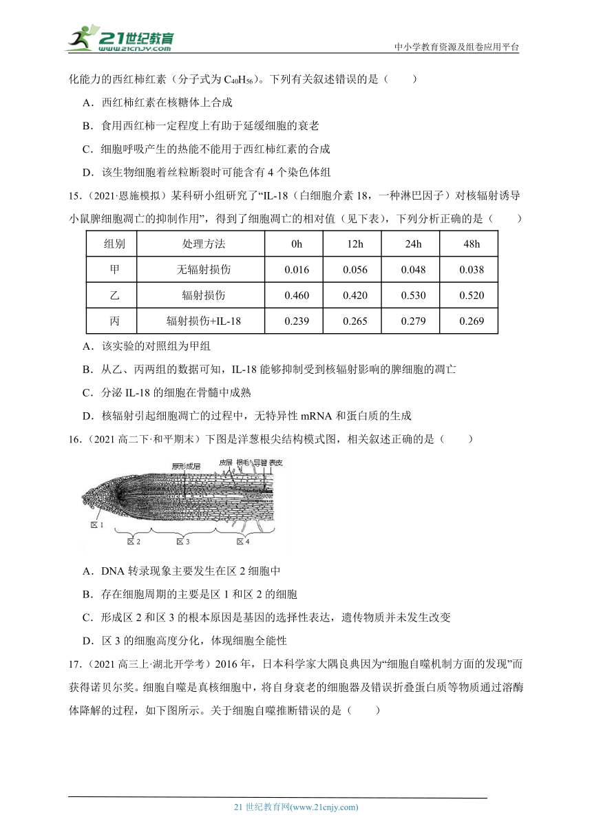 2023-2024学年高一上学期苏教版（2019）高中生物必修1第四章第二节细胞分化、衰老和死亡综合练习题（含解析）