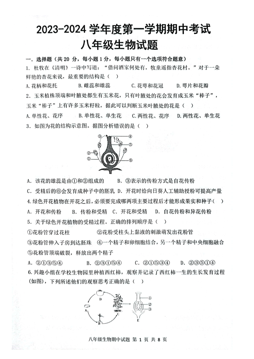 山东省菏泽市单县2023-2024学年八年级上学期期中生物学试题（图片版无答案）