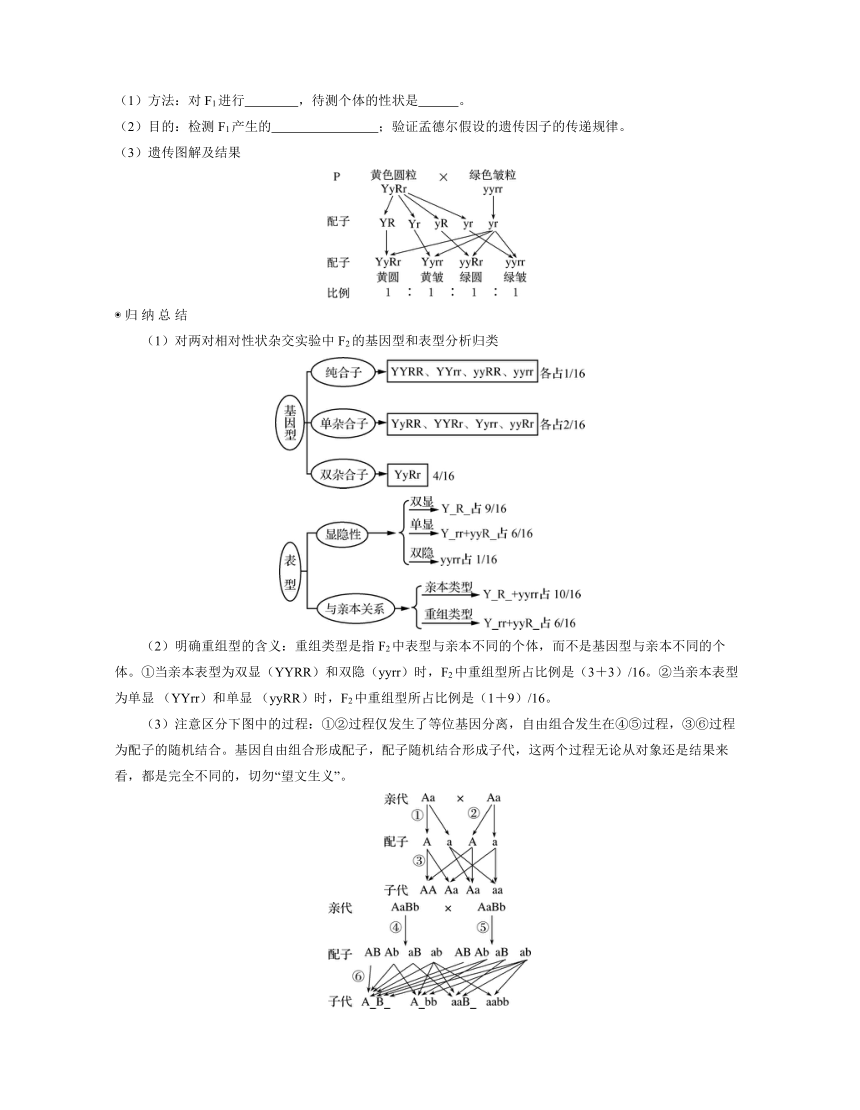 新人教生物一轮复习学案：第18讲　基因的自由组合定律（含答案解析）