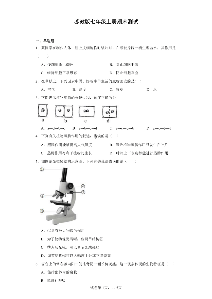 2023-2024学年初中生物苏教版七年级上册期末测试模拟卷2（答案+解析）