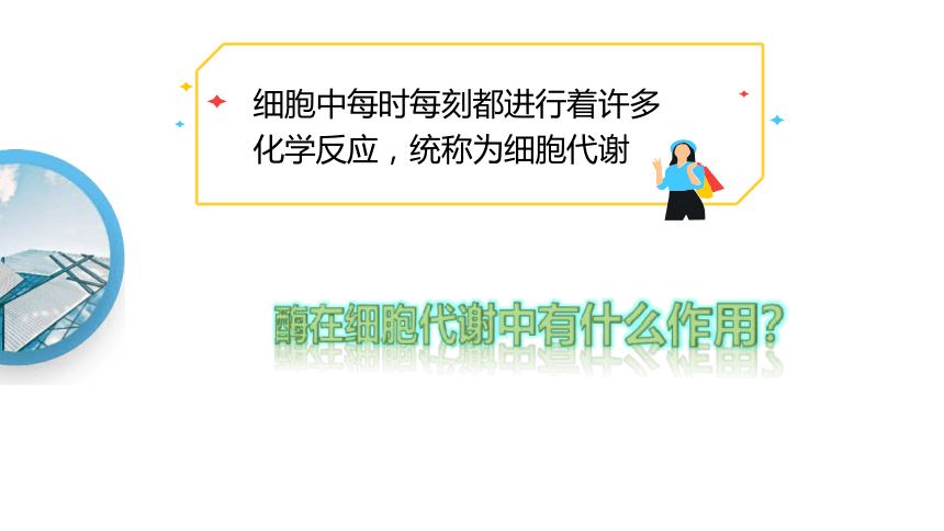 5.1 低化学反应活化能的酶 课件（第一课时）高一生物学（人教版2019必修1）（共19张PPT）