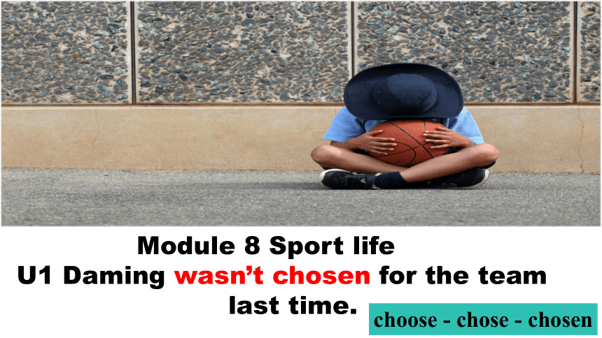 Module 8Sports life 课件(共54张PPT)外研版英语九年级上册