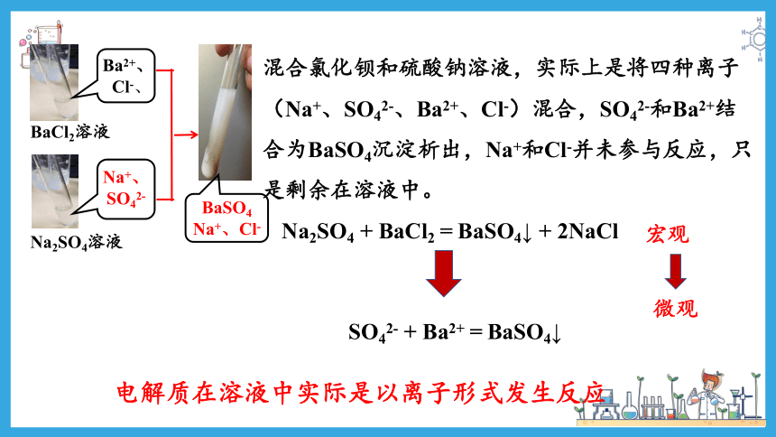 1.2.2 离子反应（课件）(共30张PPT)高一化学（人教版2019必修第一册）