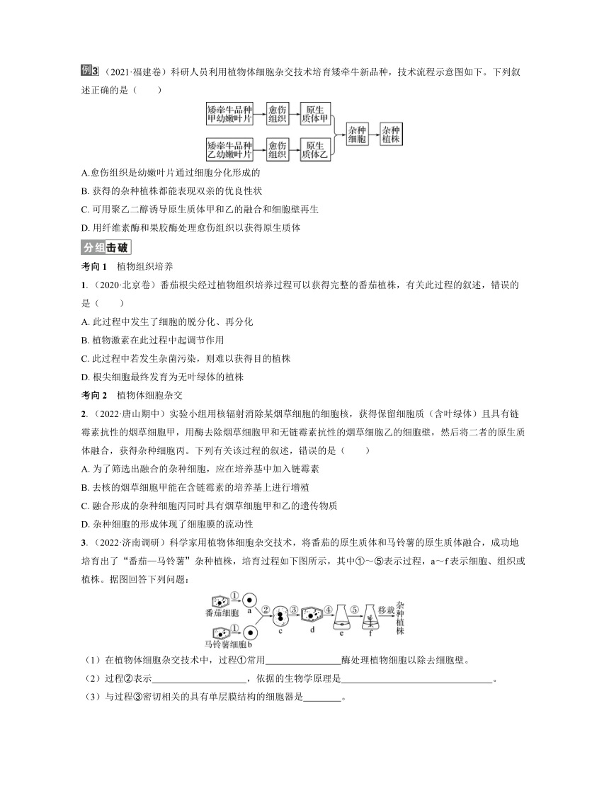 新人教生物一轮复习学案：第48讲　细胞工程（含答案解析）