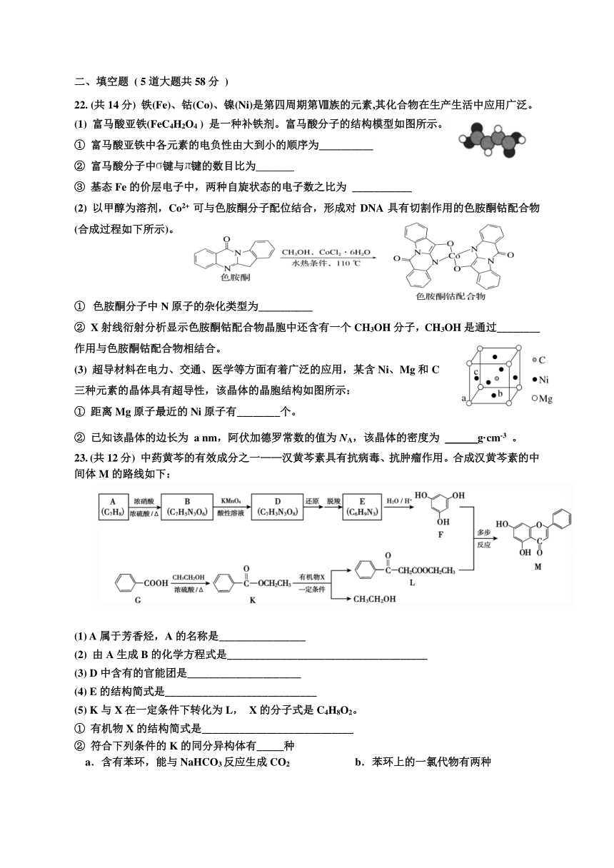 北京市顺义区部分中学2023-2024学年高三上学期期中考试检测化学试题（含答案）
