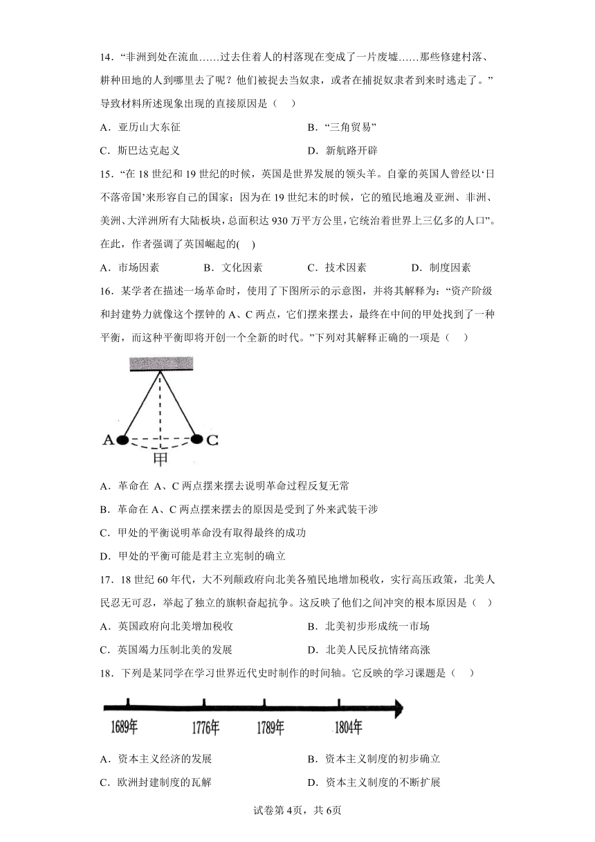 内蒙古自治区赤峰市松山区2023-2024学年九年级上学期11月期中历史试题（含解析）