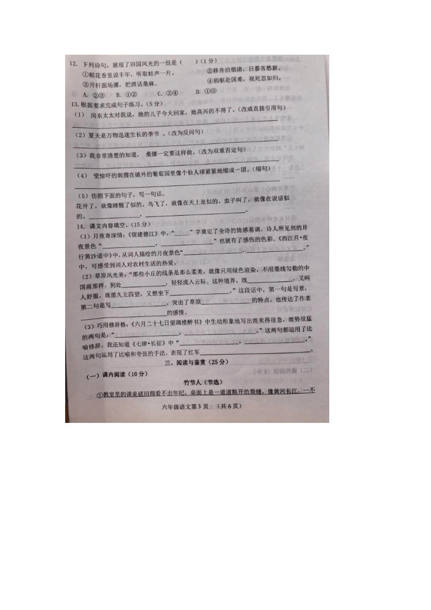 山东省菏泽市2023-2024学年六年级上学期期中考试语文试题（图片版 无答案）