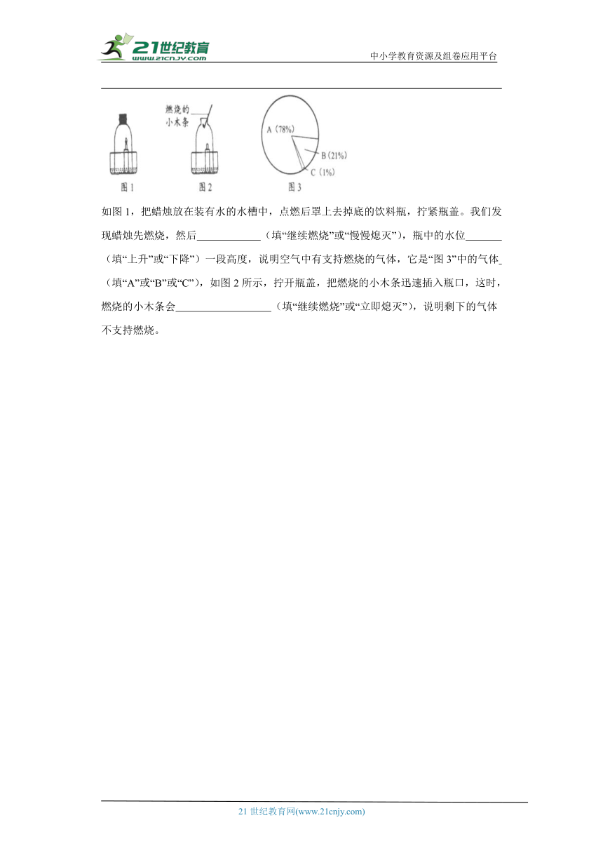 人教鄂教版六年级上册科学期末检测题（含答案）