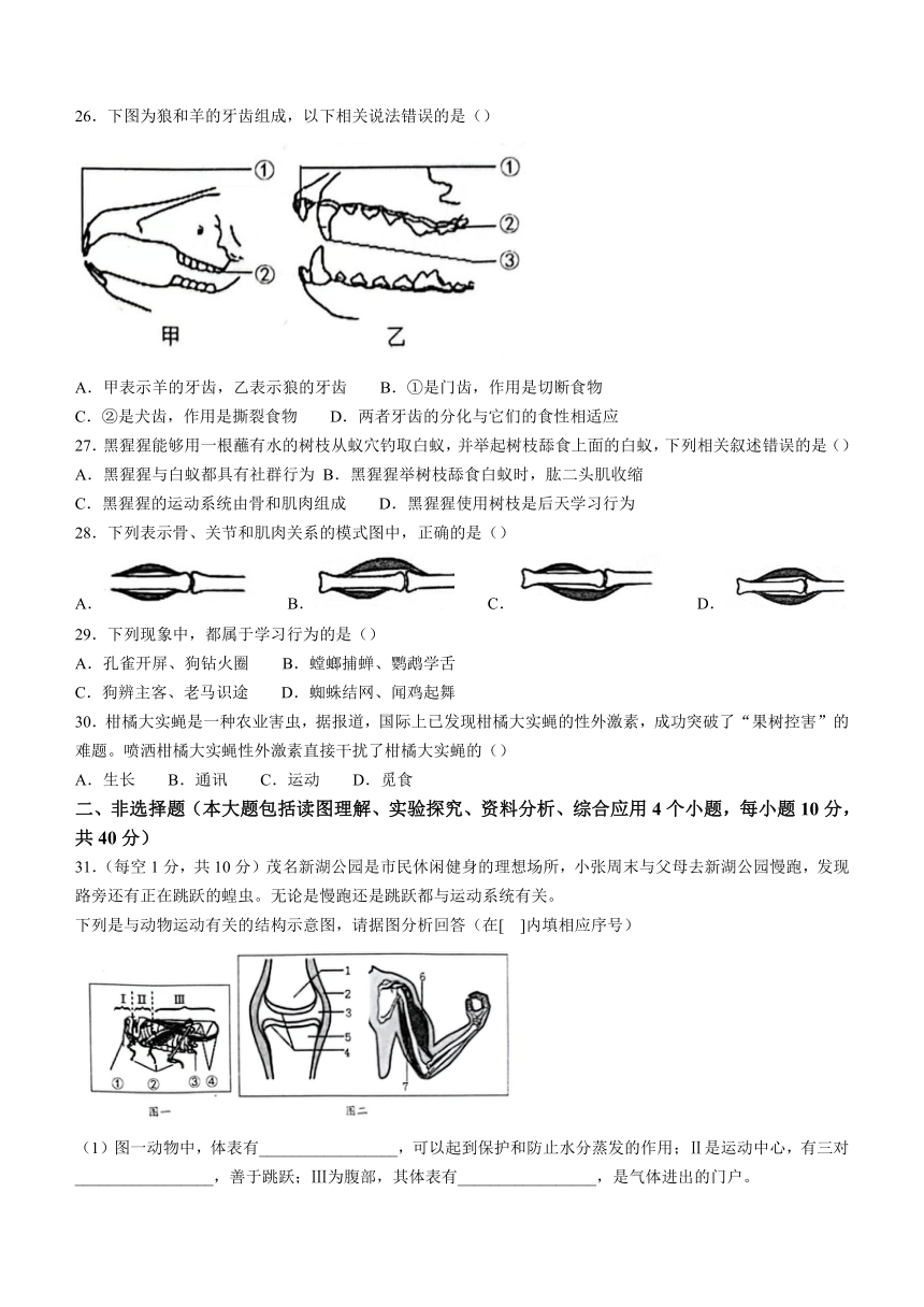 广东省茂名市电白区2023-2024学年八年级上学期期中生物试题（含答案）