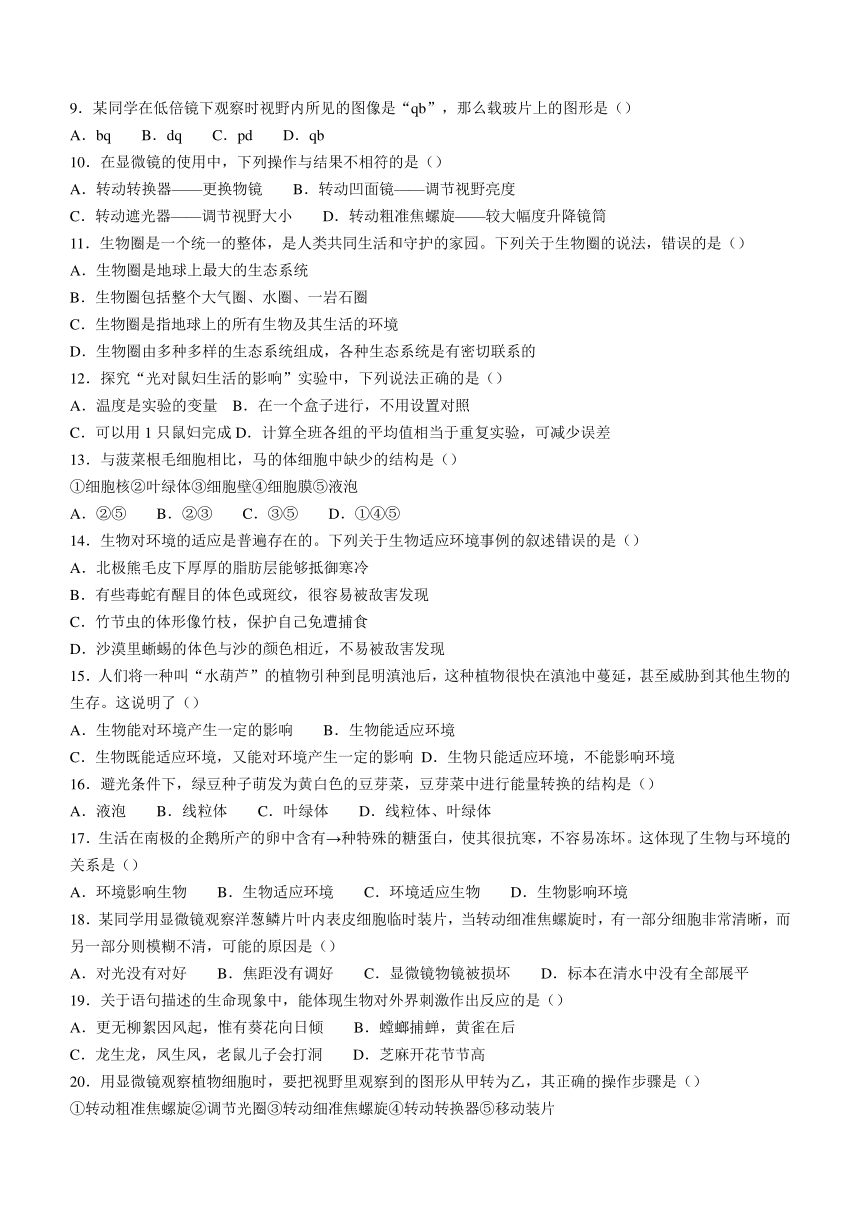 广东省揭阳市惠来县2023-2024学年七年级上学期期中生物试题（Word版 含答案）