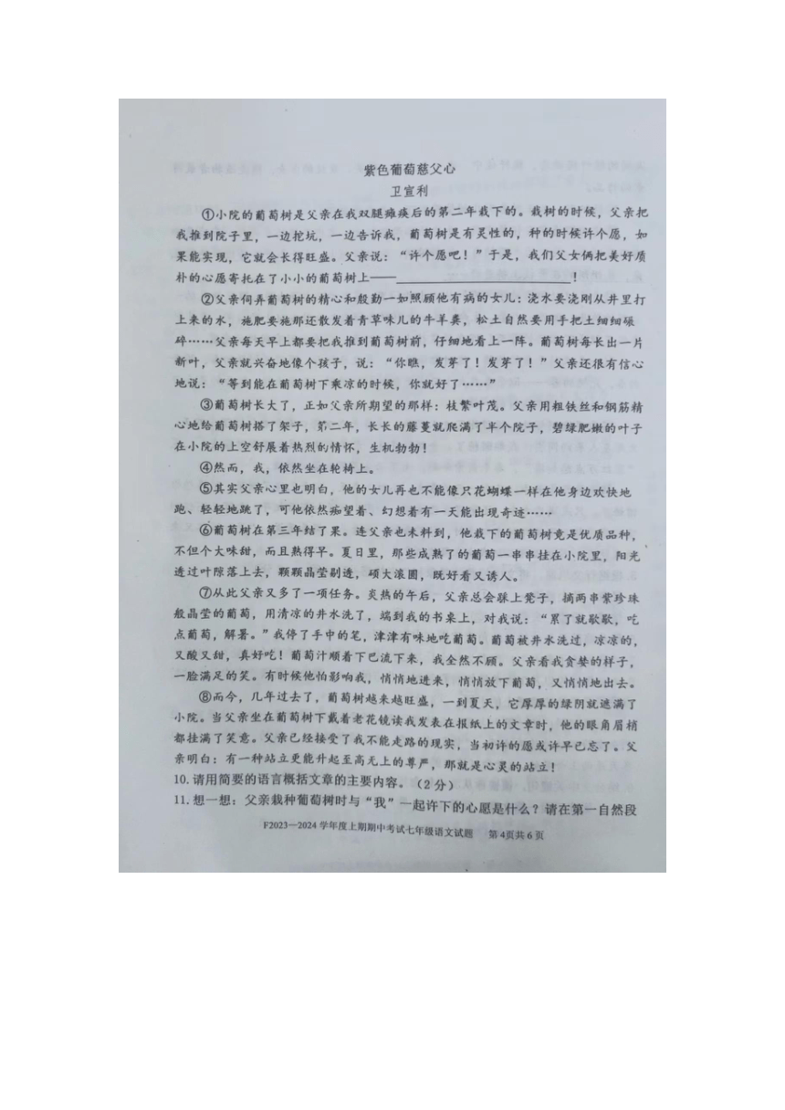 河南省周口市扶沟县2023-2024学年七年级上学期11月期中考试语文试题（图片版，含答案）