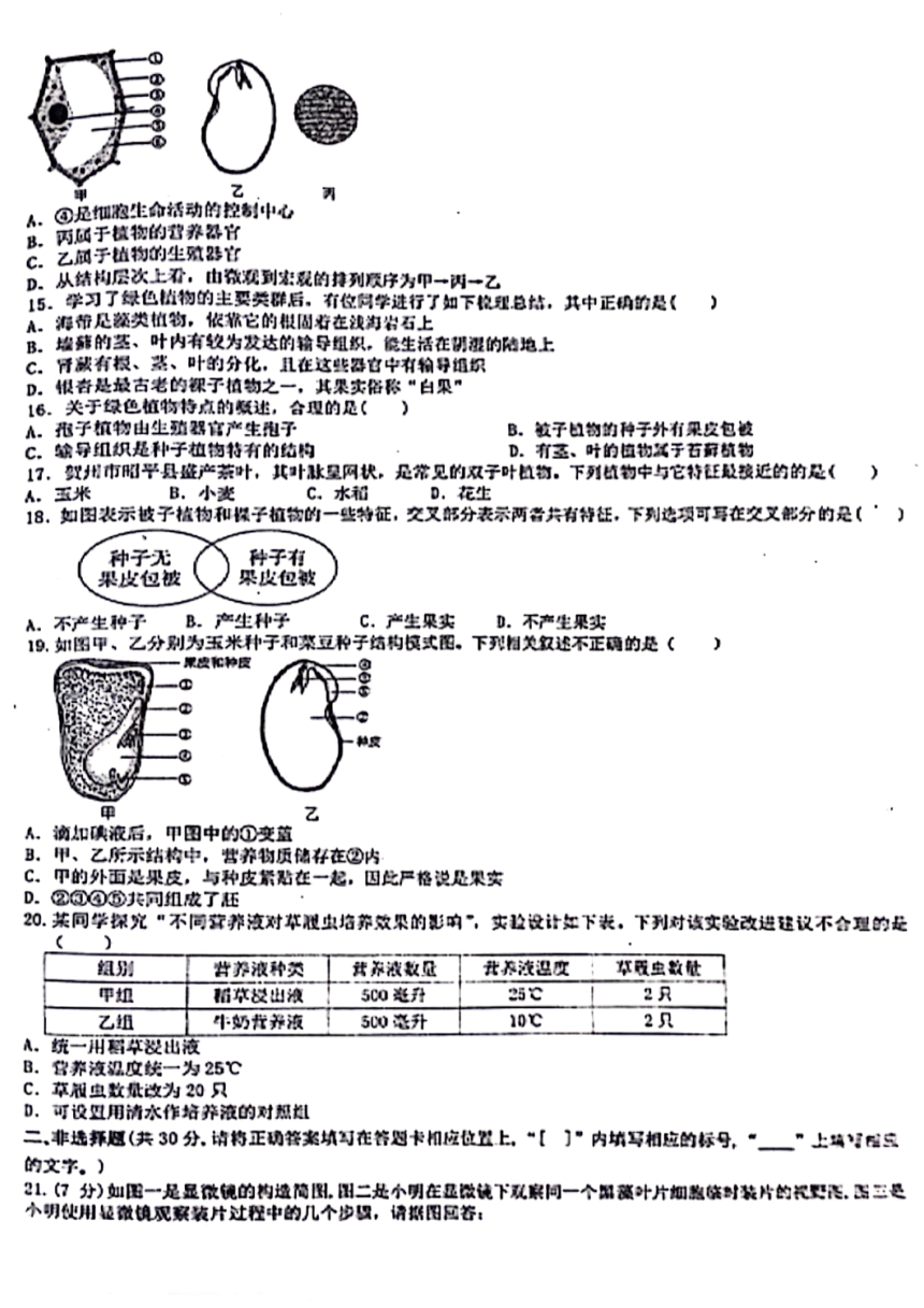 河南省郑州市管城回族区2023-2024学年七年级上学期期中生物试题（图片版 含答案）