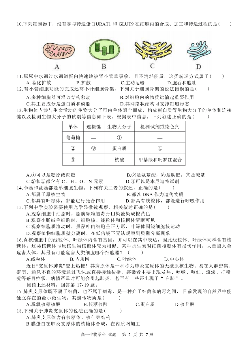 浙江省“衢温5+1”联盟2023-2024学年高一上学期期中联考生物试题（Word版含答案）