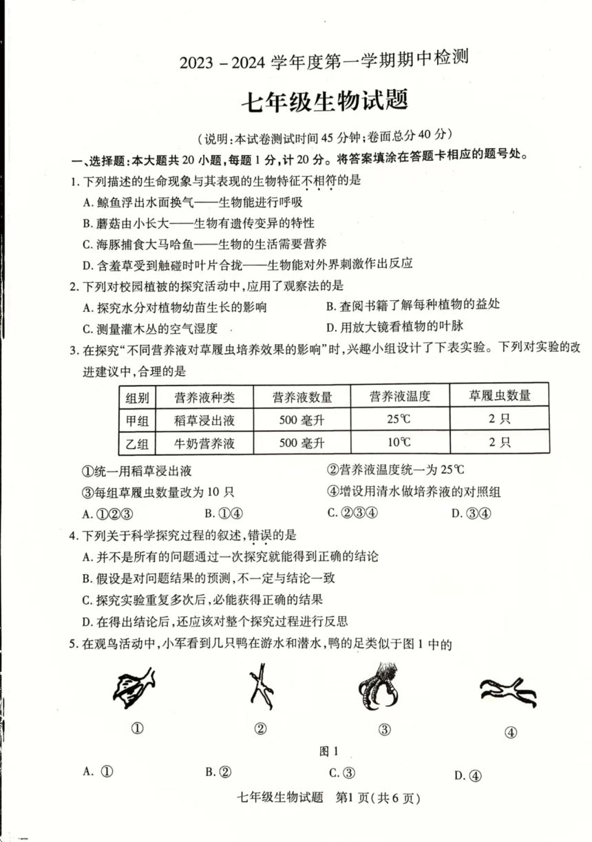 江苏省徐州市丰县2023-2024学年七年级上学期期中学情调研生物学试卷（PDF版 无答案）