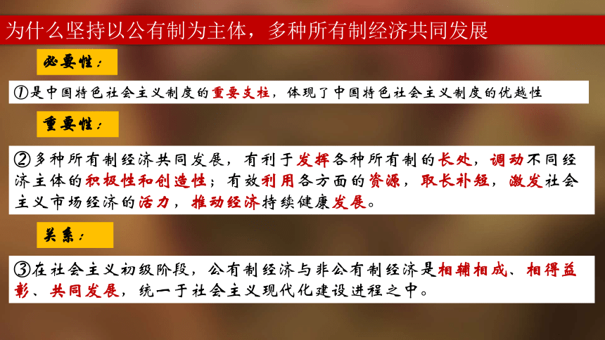 1.2坚持“两个毫不动摇”课件（共35张ppt）2023-2024学年高中政治统编版必修二经济与社会