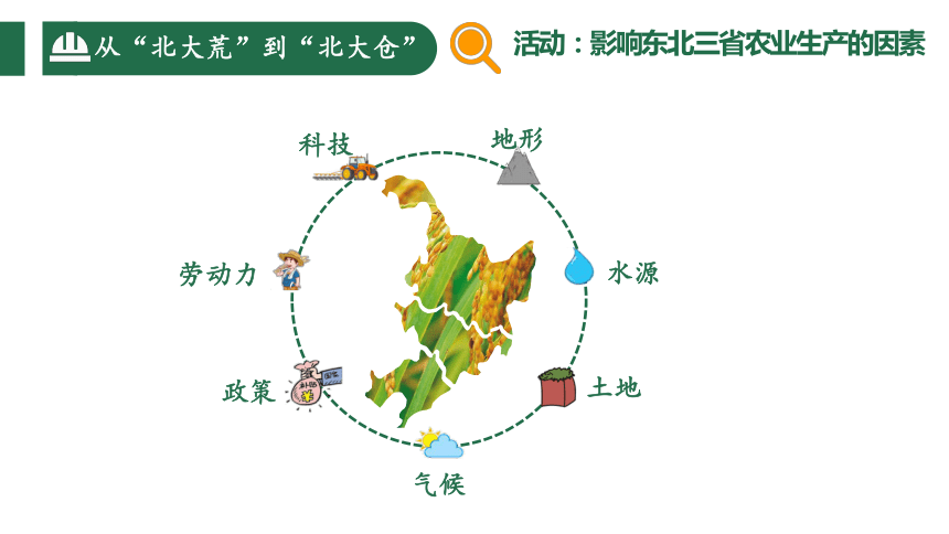 6.2“白山黑水”—东北三省（第2课时）课件（共32张PPT） 2023-2024学年八年级地理下册 人教版