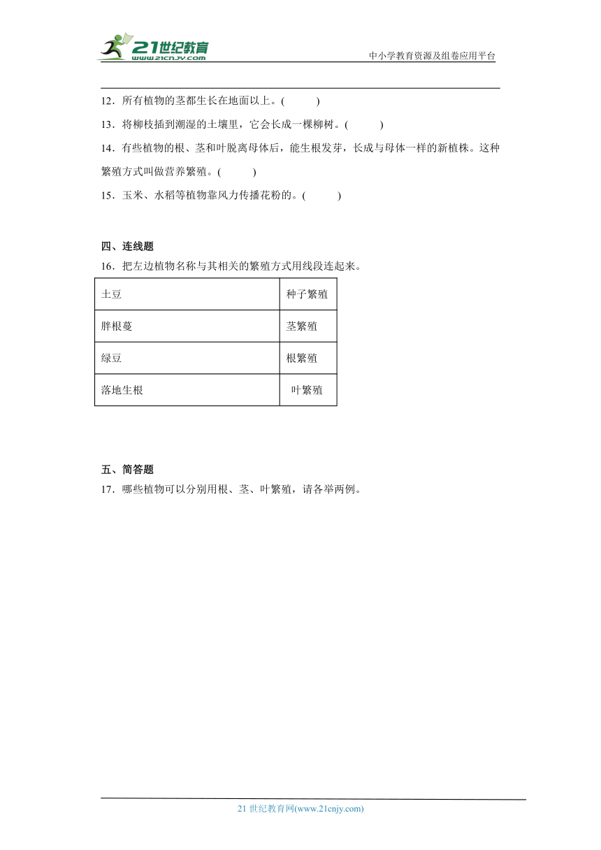 人教鄂教版四年级上册科学2.5 不用种子怎样繁殖 同步训练（含答案）