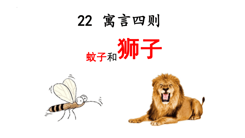 第22课《蚊子和狮子》课件（共28张ppt）