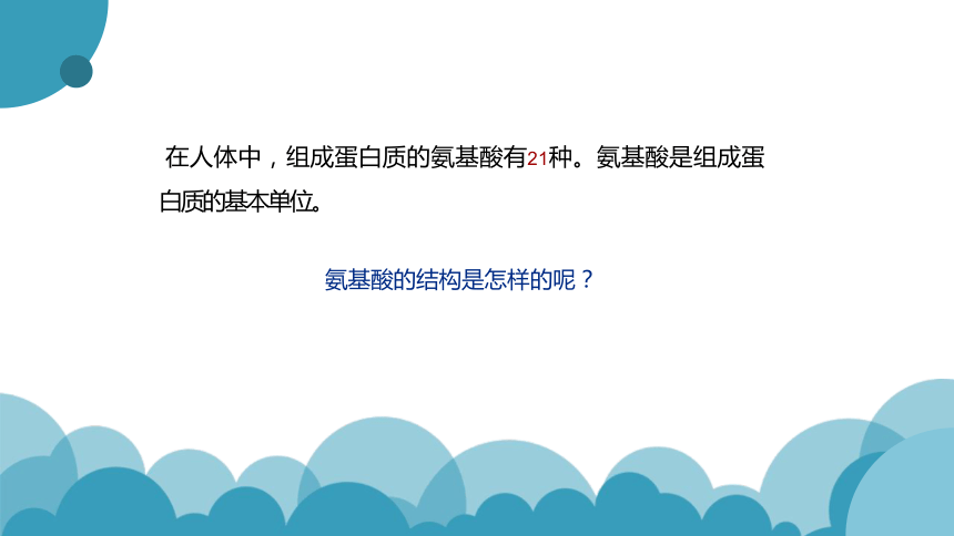 2.4 蛋白质是生命活动的主要承担者(共24张PPT)-高一生物学（人教版2019必修1）