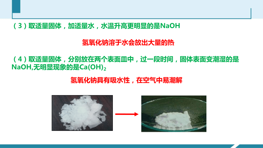 初中科学中考一轮复习专题——常见的碱