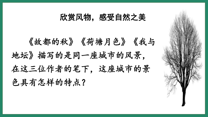 高中语文统编版（部编版）必修上册第七单元《故都的秋》《荷塘月色》《我与地坛》联读 课件(共20张PPT)