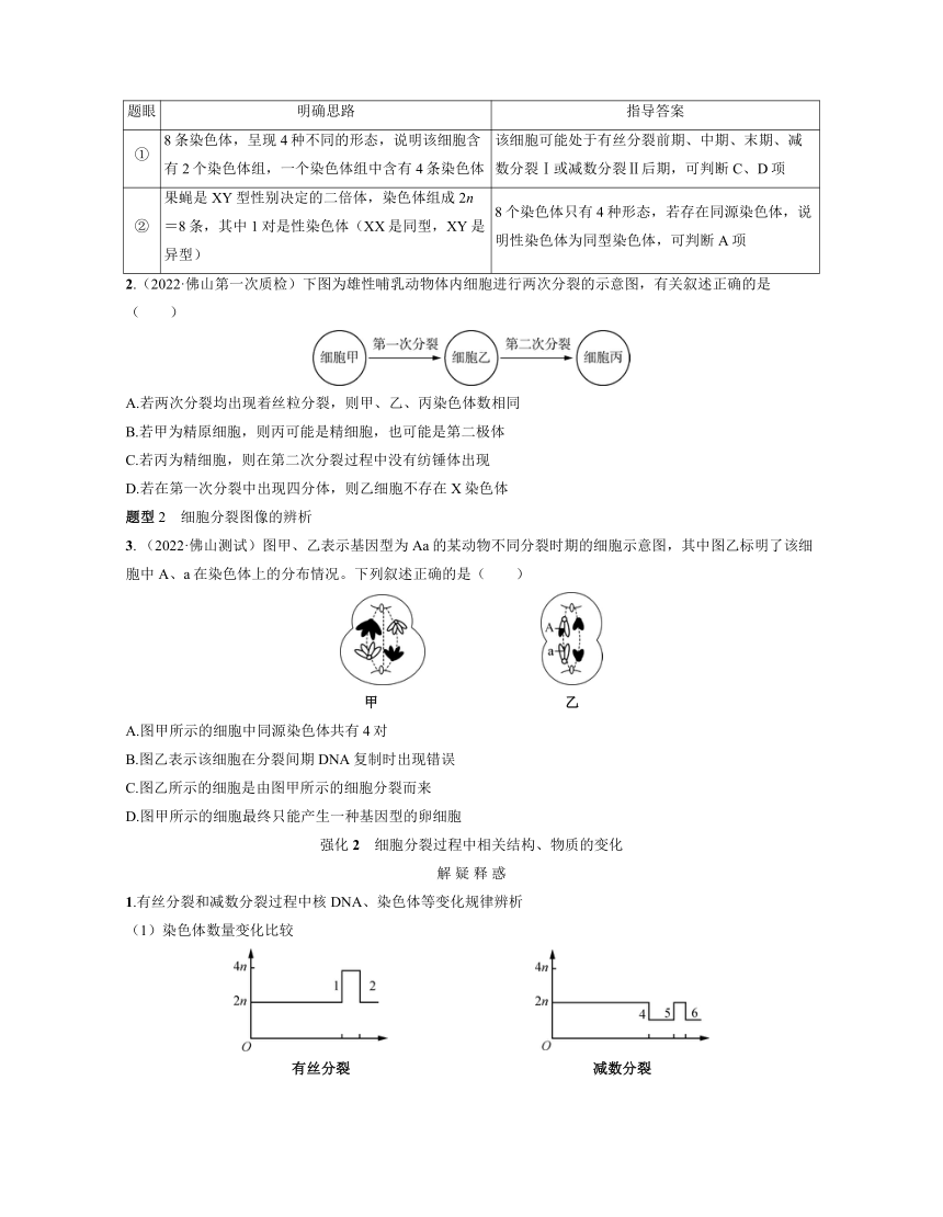 新人教生物一轮复习高频考点解析训练：2  减数分裂与有丝分裂的比较（含解析）
