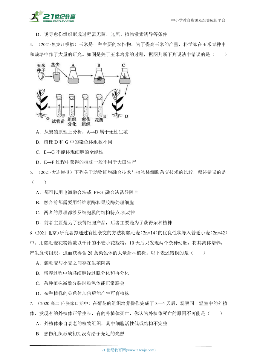 高中生物人教版（2019）选修3 2.1植物细胞工程章节综合练习题（含解析）