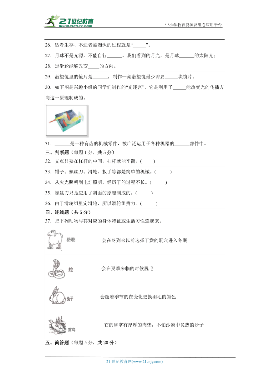 粤教版六年级上册科学期末测试题（含答案）