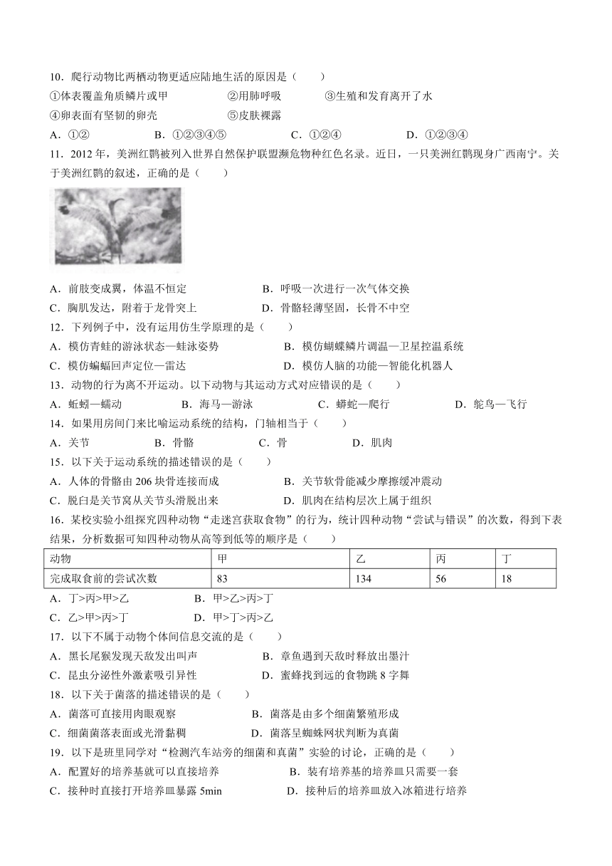 福建省漳州市长泰县2023-2024学年八年级上学期期中生物试题（含答案）