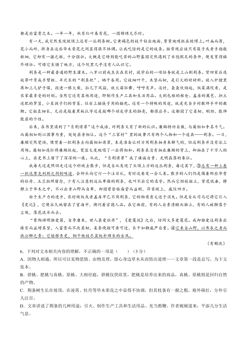 河北省沧衡八校联盟2023-2024学年高三上学期期中联考语文试题（含解析）