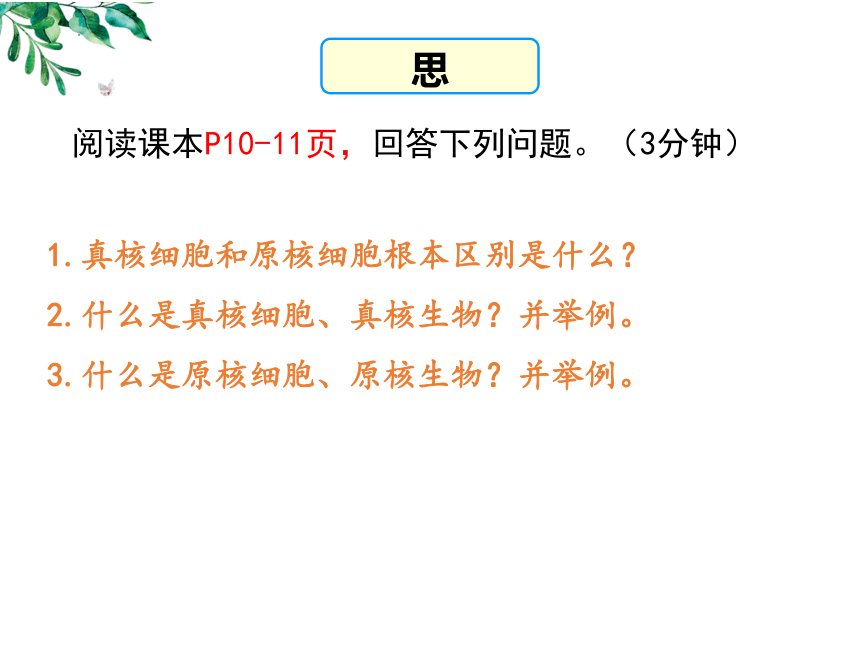 1.2细胞的多样性和统一性第2课时课件(共29张PPT)2023-2024学年高一上学期生物人教版必修1