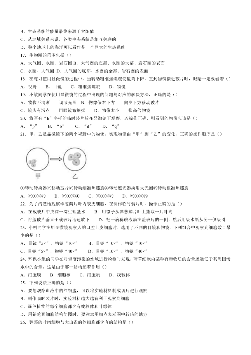 广东省河源市紫金县2023-2024学年七年级上学期期中生物试题（含答案）