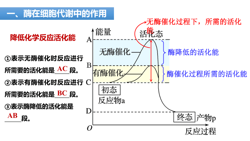 5.1 降低化学反应活化能的酶课件(共47张PPT1份视频)-人教版2019必修1